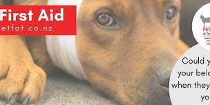 PET First Aid Course - Taranaki