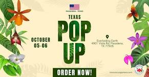 Texas Pop Up