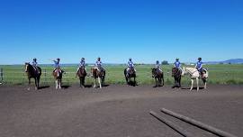 barrel racing prep clinic