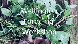 Wellington Foraging Workshop 26th May