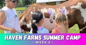 Haven Farms Summer Camp - week 3