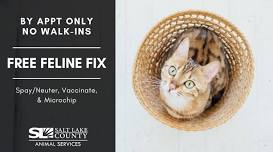 Free Feline Fix - August 1st