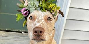 Succulent Flower Crowns Workshop with Goats