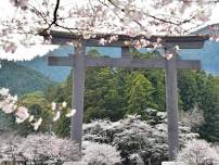 [AU] Kumano Kodo Japan in Spring