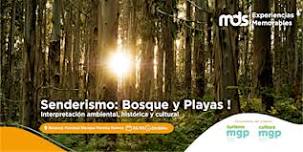 Senderismo interpretativo: Bosque y Playas  del Sur !