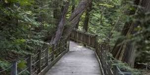 Spring Birding Walk