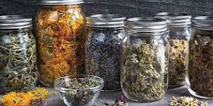 Soul Harmony Holistic Wellness  Mother   Daughter  herbal tea party,