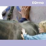 EQ1110: Equine Myofascial Release Techniques Level II