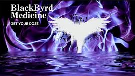 BlackByrd Medicine returns to Big Lick Tropical Grill!