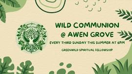 Wild Communion at Awen Grove | Monthly Gatherings in Nature | #PicnicHomily