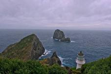 Group Run: Cape Brett