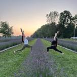 Summer Solstice Celebration @ Field & Flock Lavender Farm — Dharma Yoga A Wellness Center