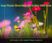 Ooty Flower Show May 17th to May22nd 2024