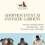 Adoption Event at Fantastic Gardens