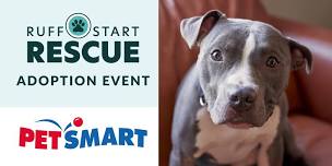 Maple Grove PetSmart Adoption Day Event