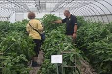 Purdue Hydroponics and Greenhouse Crop Production Webinar Series