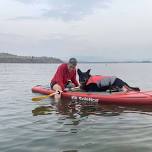 Paddleboarding for Dogs!