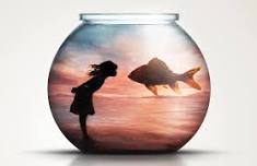 Girl in the Goldfish Bowl