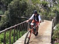 E-bike tour of Paul Cluver Wine Estate, Elgin Valley