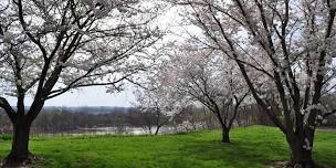 Park Shelter at North Esplanade Park - Dates in April - June 2024