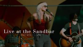 Brook Faulk & The Family Corvidae at the Sandbar