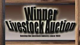 Winner Livestock Auction Event on 2024-05-03 | CattleUSA