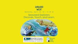 Seaweed Explorers: Discover, Touch, and Learn.