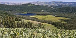 Lacey Meadows Docent Hike with Headwaters Science