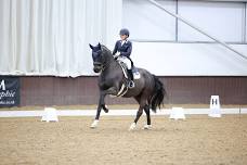 Natalie Tsuchiya Dressage Clinic