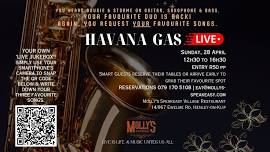 Havana Gas ... LIVE at Molly's