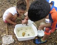 Shaw Family Adventures: The Creek at Shaw Nature Reserve