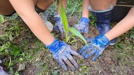 Friends of William Gamble Working Bee - Planting Day