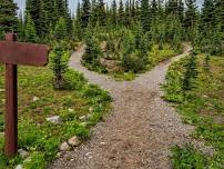 SEP & Friends of Dillon Ranger District Trail Building Day