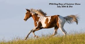 Illinois Paint Horse Shows  — Gordyville USA