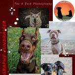 Photography Fundraiser for Celestial Zoo Pet Rescue