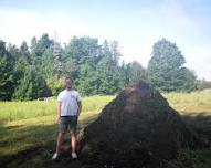 Kitchen Scraps Composting Program — Central Aroostook Soil and Water Conservation District