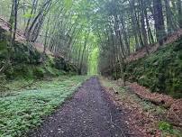 National Trails Day on the Liberty O&W Rail Trail!