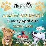 PetCo Adoption Event - Buffalo