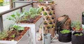 Container Gardening