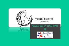 Cat Adoptions - Tumbleweed Cat Rescue