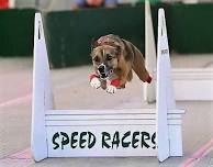 Omaha Speed Racers Flyball