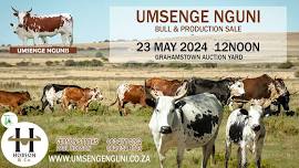 Umsenge