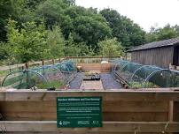 Volunteer day at Bowlees tree nursery