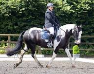 CTG Summer Series- Dressage