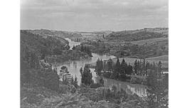 Tea & Talk: Pioneers of the Mahurangi