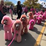 Pink Dogs in the 4th of July Parade