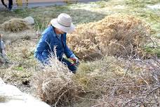 Annual Garden Cleanup at HOTR