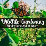 Wildlife Gardening