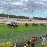 Richmond Valley Cup Race Day