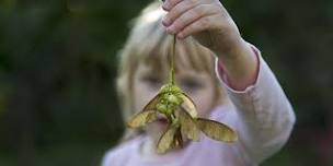 Summer Family Fun at Sevenoaks Wildlife Reserve: Plants and Flowers